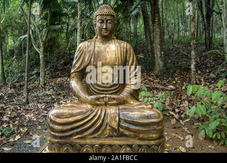 Buddha statue into the Atlantic Forest Stock Photo