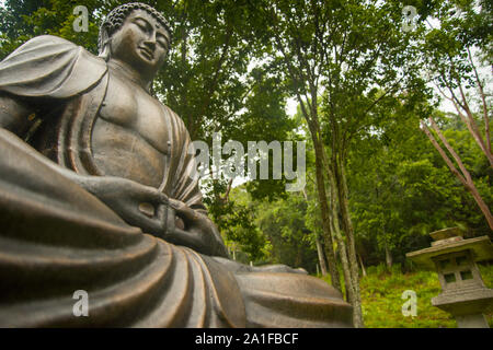 Low angle view of Buddha statue into the Atlantic Forest Stock Photo