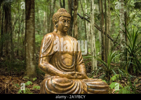 Side view of Buddha statue into Atlantic Forest Stock Photo