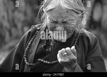 Buddhist senior woman praying in front of Potala Palace Stock Photo