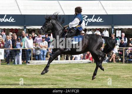 horse and rider leaping in the air Stock Photo