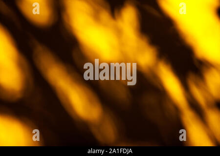 abstract image of dark shadows of tree branches on yellow blue and red wall Stock Photo