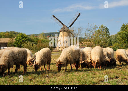 Traditional hungarian windmill. Open-air museum (Skanzen) near Szentendre. Hungary Stock Photo