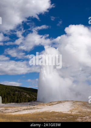 Old Faithful geyser erupting, Upper Geyser Basin, Yellowstone National Park, Wyoming, USA Stock Photo