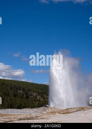 Old Faithful geyser erupting, Upper Geyser Basin, Yellowstone National Park, Wyoming, USA Stock Photo