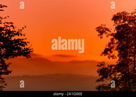 Low angle shot impressive sunset and two trees silhouettes with dramatic red fiery sky. Huge glowing orange red yellow sun over hillsl. Devine romanti Stock Photo