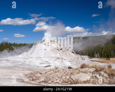 Castle Geyser erupting, Upper Geyser Basin, Yellowstone National Park, Wyoming, USA Stock Photo