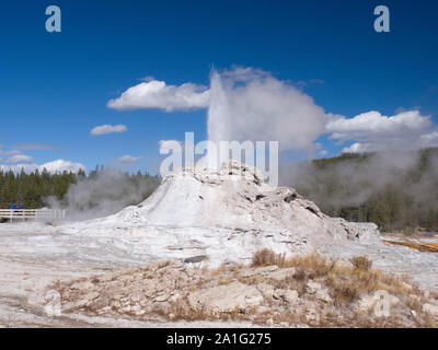 Castle Geyser erupting, Upper Geyser Basin, Yellowstone National Park, Wyoming, USA Stock Photo