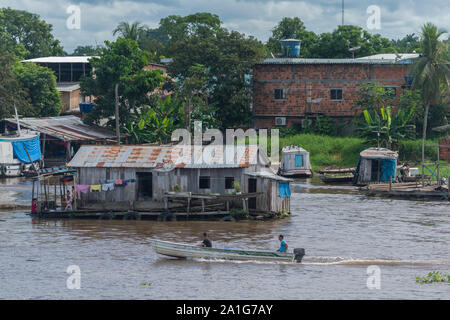 Obersations on a two-day boat trip from Manaus to Tefé, month of May, Rio Solimoes, Amazonas, end of rainy season,The Amazon, Brazil, Latin America Stock Photo