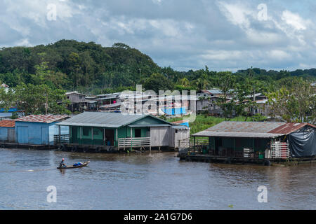 Obersations on a two-day boat trip from Manaus to Tefé, month of May, Rio Solimoes, Amazonas, end of rainy season,The Amazon, Brazil, Latin America Stock Photo