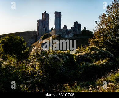 Late evening view of Corfe Castle ruins in Dorset UK Stock Photo