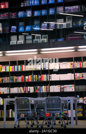 library setting with books and reading material (Please note that many books with legible titles are filler titles that only state the 'type' of mater Stock Photo