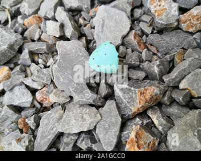 Beautiful bird's egg broken over the rocks Stock Photo