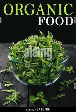 Corn salad or lettuce isolated on darck background Stock Photo