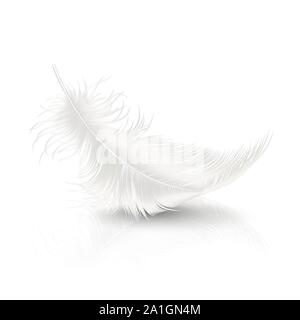 Vector 3d Realistic Falling White Fluffy Twirled Feather with Reflection Closeup Isolated on White Background. Design Template, Clipart of Angel or Stock Vector