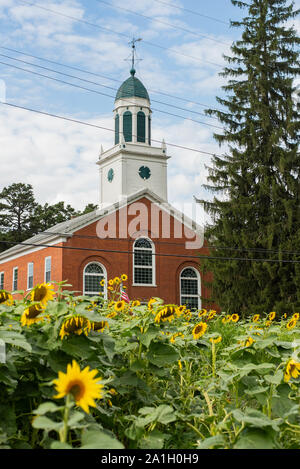Sunflowers in front of a church in a rural setting in Pennsylvania. Stock Photo