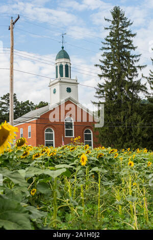 Sunflowers in front of a church in a rural setting in Pennsylvania. Stock Photo