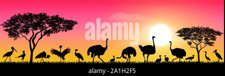 Wild birds of the African savannah against the sky and the sun. Silhouettes of different birds. Wildlife of Africa. Stock Vector
