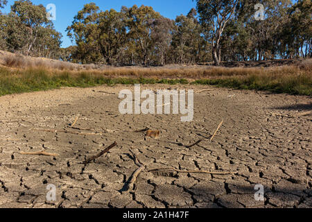 Dried pond at Cork Oaks plantation in the National Arboretum, ACT, Australia on a spring afternoon in September 2019 Stock Photo
