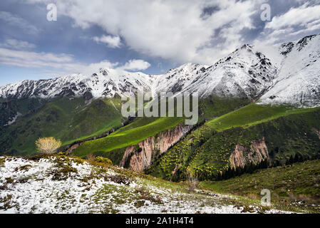 Mountain peak with snow and green forest against blue cloudy sky Stock Photo