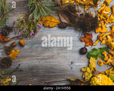 Still Life of a Variety of Fall Nature Items in wooden table with copy space, autumn concept Stock Photo