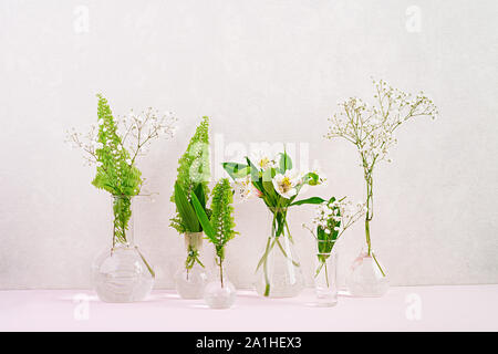 Flowers and plants in flask. Beautiful spring background with flowers in vase. Stock Photo