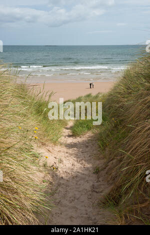 A quiet beach on the Northumberland Coast at the mouth of Howick burn ...