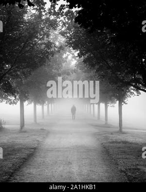 A lone female pensioner walks a parkland path on a foggy autumn morning. Stock Photo