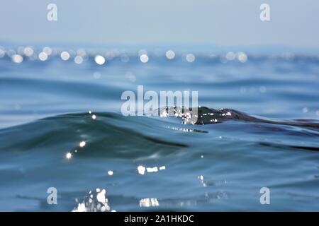 Sea wave closeup/ ocean water background/ Blue sky and sea background