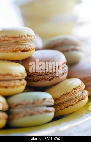seletcive focus of  a signel macaron from a plate with other cakes , macro images with copyspace and room for text overlay Stock Photo