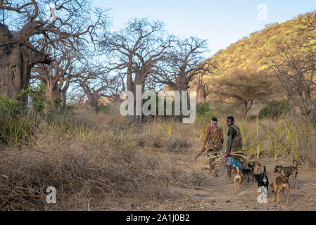 Hadza Man With Dog Lake Eyasi Tanzania Small Tribe Of Hunter Gatherers ...