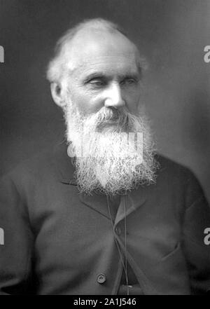 WILLIAM THOMSON, 1st Baron Kelvin (1824-1907) Irish-Scottish mathematical physicist Stock Photo