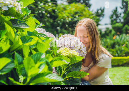 Young woman on the background of light Pink hydrangea flowers blooming in the garden Stock Photo