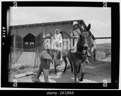 Nahalal. Girls' Agricultural Training School. The plow mules Stock Photo