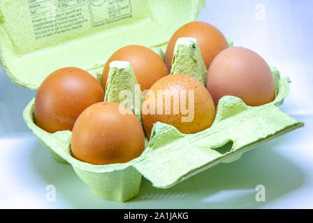 Half a dozen eggs in a paper egg box. Stock Photo