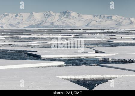 Ice floes from the break up of the sea ice in front of the Ross Ice shelf and in McMurdo Sound. Near Scott Base and McMurdo Station, Antarctica Stock Photo