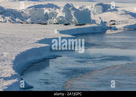 antarctic ice shelf edge, Antarctica, Suedpolarmeer Stock Photo - Alamy