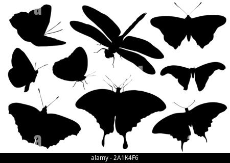 Silhouettes of insects isolated on white background. Vector illustration Stock Vector