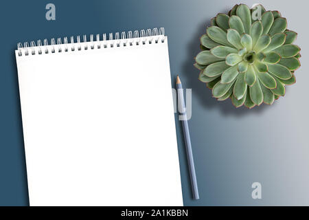 top view of empty white spiral notebook on clean desk with potted succulent plant and pencil Stock Photo