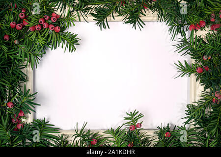 Christmas tree branches and frame for note. Stock Photo