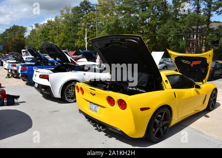 Chevrolet Corvettes lined up at a car show. Stock Photo