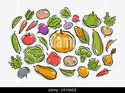 Vegetables set. Farming, horticulture concept. Vector illustration Stock Vector