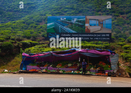 Sri Lanka, Nuwara Eliya - January 25, 2019: The typical fruit and vegetables stall on the roadside area on the edge of tea plantation. Stock Photo