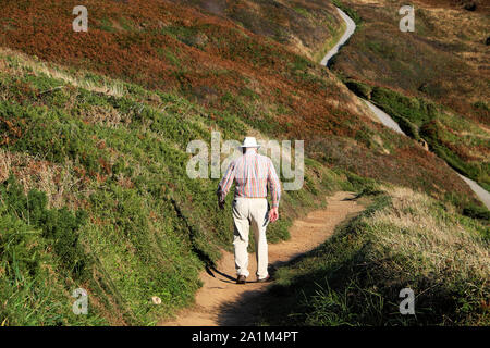 Rear view of an older man walking down a hill in a landscape of bracken on the Wales Coast Path in autumn Pembrokeshire UK Great Britain  KATHY DEWITT Stock Photo