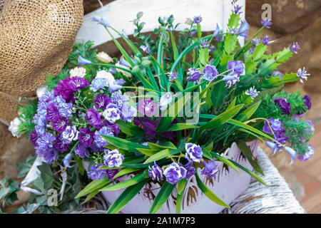 white wooden chair with a pot full of flowers Stock Photo