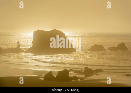 Bandon Beach sea stacks in the late afternoon fog, Bandon, Oregon, USA Stock Photo