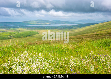 Hills around Portmagee, along the Ring of Kerry Ireland. Stock Photo