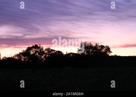 Sunset in the clouds. Stock Photo