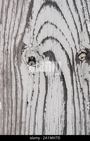 background of weathered grey wood with peeling white paint and the wood grain and knots showing through Stock Photo