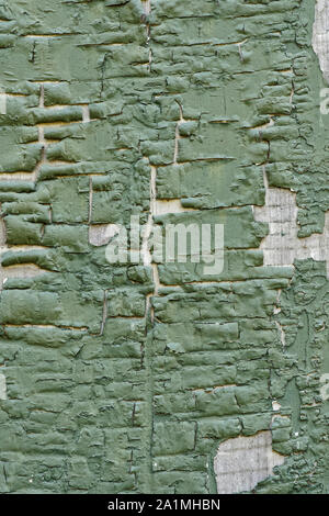 background of green peeling and cracked paint on weathered gray wood board Stock Photo